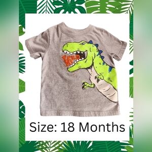 Gray and Green Dinosaur Graphic Short Sleeve Tee